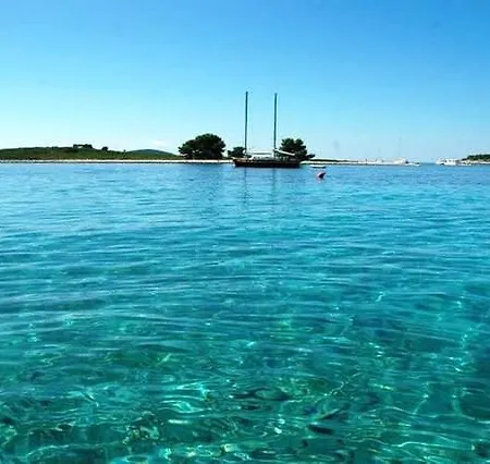 Lana Τρογκίρ
