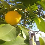 Lana Апартаменты